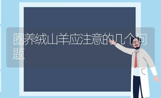 圈养绒山羊应注意的几个问题 | 家畜养殖