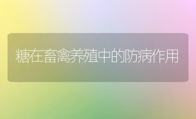 糖在畜禽养殖中的防病作用 | 家禽养殖