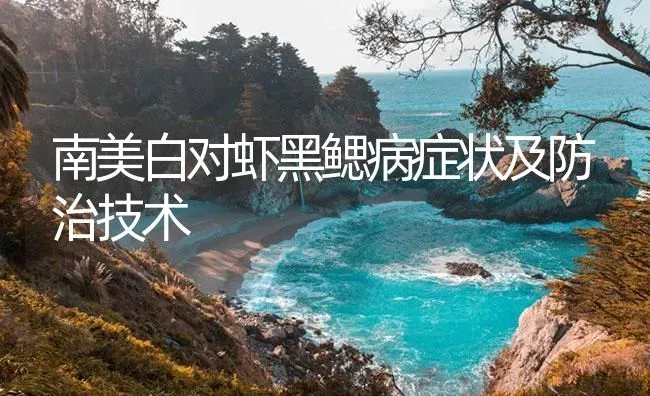 南美白对虾黑鳃病症状及防治技术 | 海水养殖