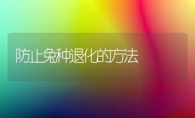 防止兔种退化的方法 | 家畜养殖