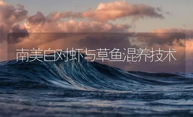 南美白对虾与草鱼混养技术 | 海水养殖