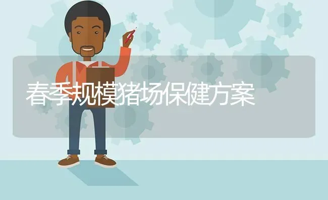 春季规模猪场保健方案 | 家畜养殖
