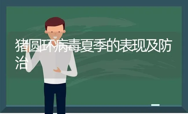 猪圆环病毒夏季的表现及防治 | 家畜养殖
