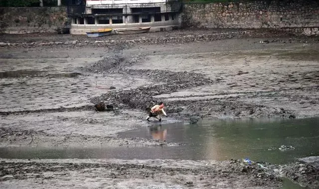 养鱼池塘的条件与鱼产量的关系