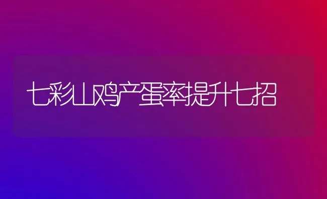 七彩山鸡产蛋率提升七招 | 家禽养殖
