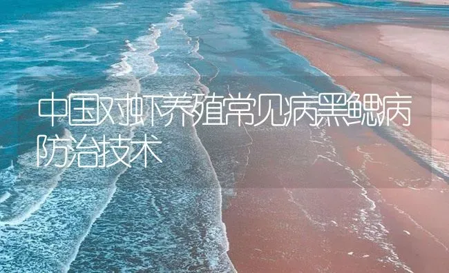 中国对虾养殖常见病黑鳃病防治技术 | 海水养殖