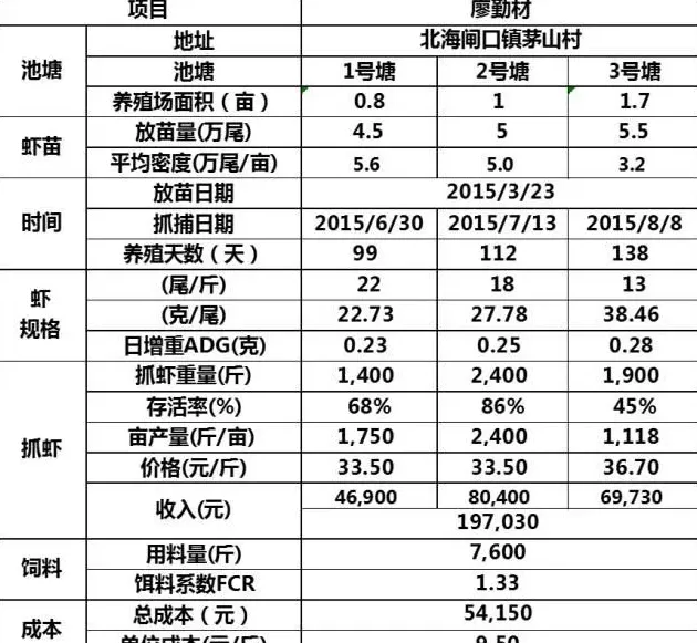 行情不好的时候不妨试试养殖大规格南美白对虾