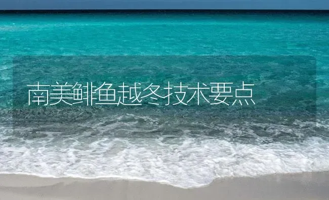 南美鲱鱼越冬技术要点 | 海水养殖