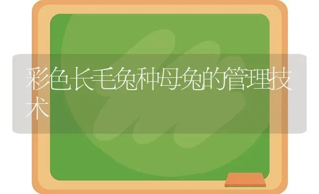 彩色长毛兔种母兔的管理技术 | 家畜养殖