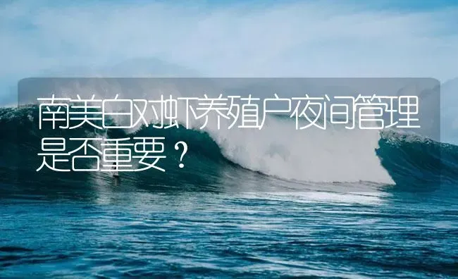南美白对虾养殖户夜间管理是否重要？ | 海水养殖