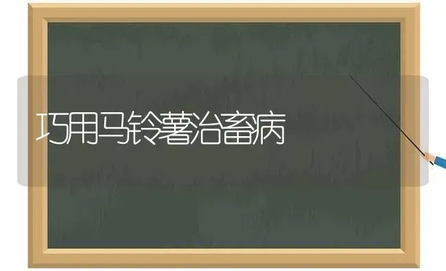 巧用马铃薯治畜病 | 家畜养殖