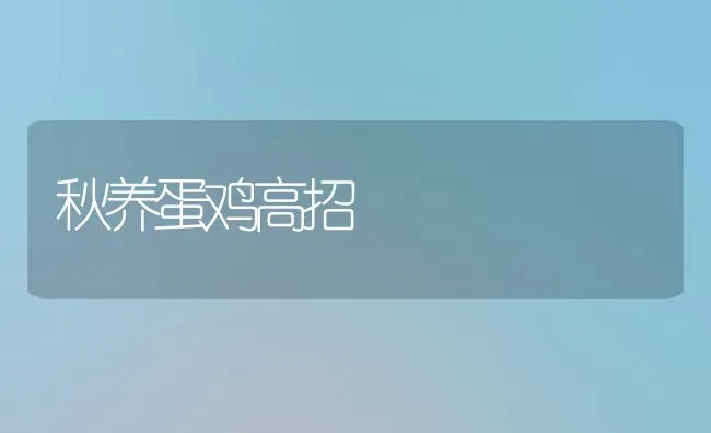 秋养蛋鸡高招 | 家禽养殖