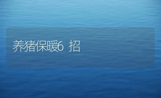 养猪保暖6招 | 家畜养殖