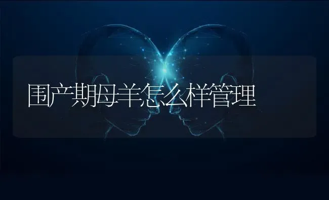 围产期母羊怎么样管理 | 家畜养殖