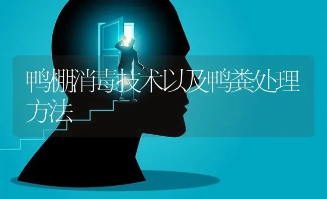 鸭棚消毒技术以及鸭粪处理方法 | 家禽养殖