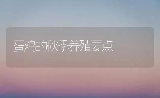 蛋鸡的秋季养殖要点 | 家禽养殖