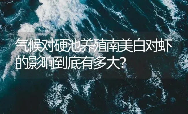 气候对硬池养殖南美白对虾的影响到底有多大？ | 海水养殖