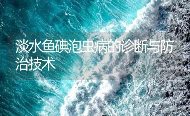 淡水鱼碘泡虫病的诊断与防治技术 | 养殖病虫害防治