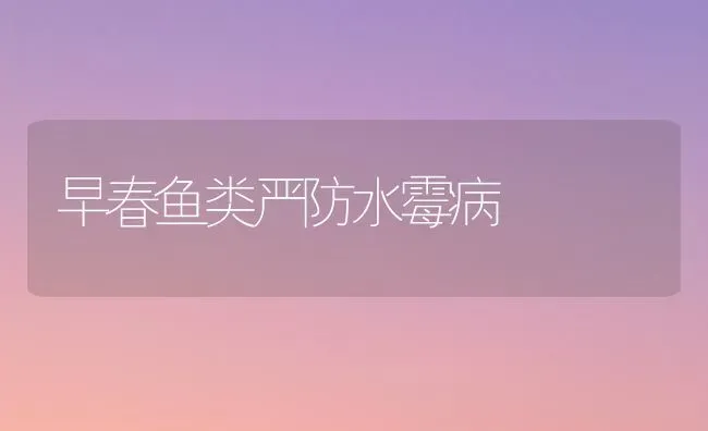早春鱼类严防水霉病 | 淡水养殖
