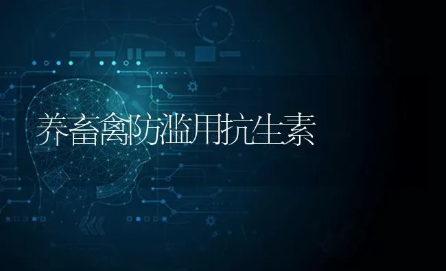 养畜禽防滥用抗生素 | 家禽养殖