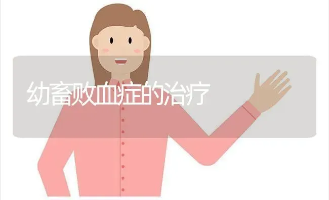 幼畜败血症的治疗 | 家畜养殖