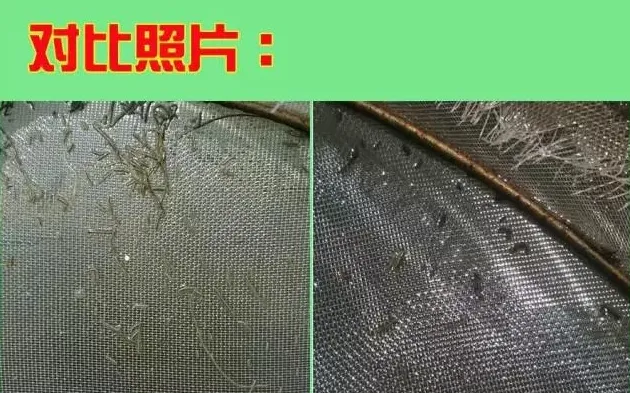 北方气温上升弧菌大量繁殖导致南美白对虾拖便的处理方法