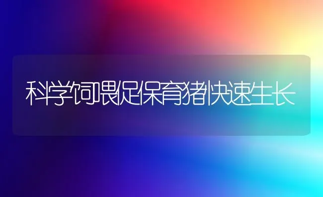 科学饲喂促保育猪快速生长 | 家畜养殖