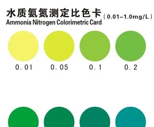 谈氨色变，聊聊水产养殖过程中氨氮的产生原理和危害