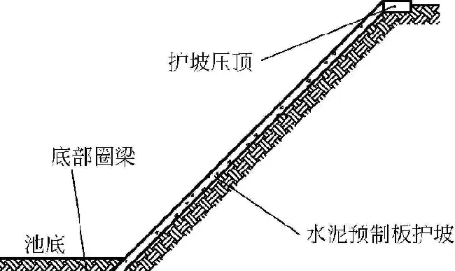 池塘养殖场怎样布局更合理？养殖效益更高？