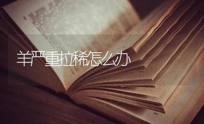 羊严重拉稀怎么办 | 家畜养殖