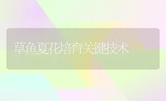 草鱼夏花培育关键技术 | 淡水养殖