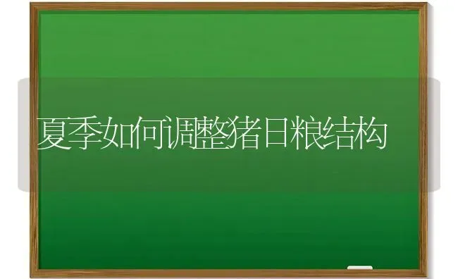 夏季如何调整猪日粮结构 | 家畜养殖