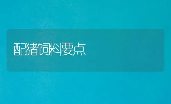 配猪饲料要点 | 家畜养殖