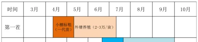 海大小棚标粗模式养殖南美白对虾规划篇