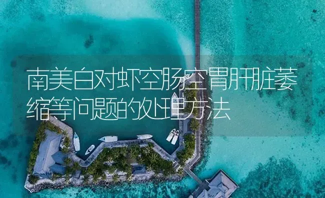 南美白对虾空肠空胃肝脏萎缩等问题的处理方法 | 海水养殖