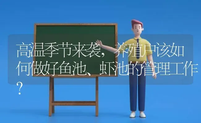 高温季节来袭，养殖户该如何做好鱼池、虾池的管理工作？ | 动物养殖百科