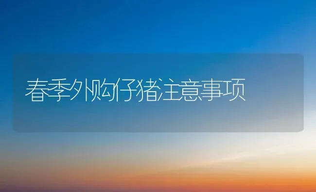 春季外购仔猪注意事项 | 家畜养殖