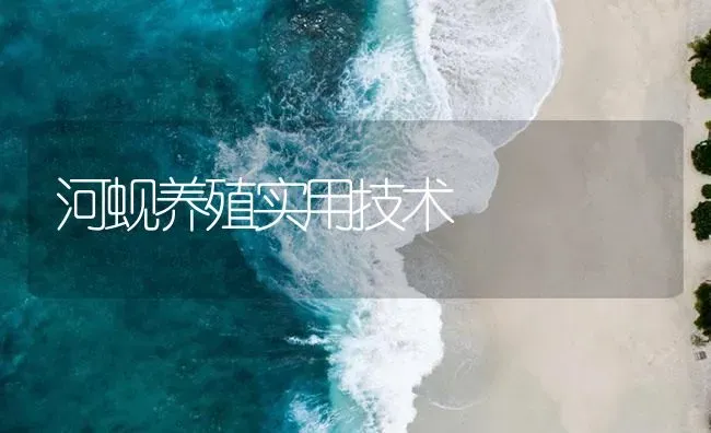 河蚬养殖实用技术 | 海水养殖