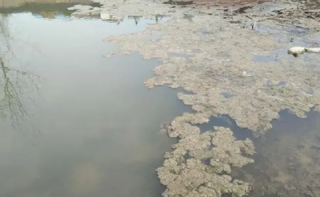 【淡水鱼专题】高温天气，鱼缺氧吃食差怎么办？