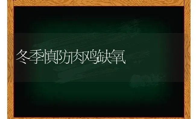 冬季慎防肉鸡缺氧 | 家禽养殖