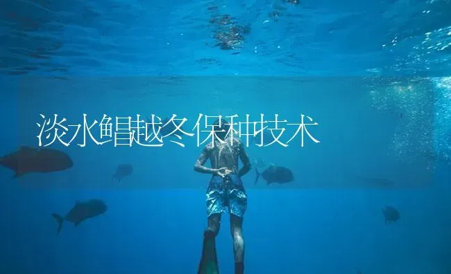 淡水鲳越冬保种技术 | 海水养殖