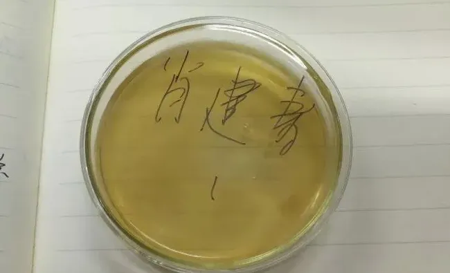 养水的本质就是培养微生物