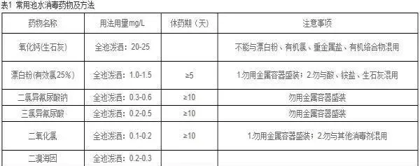 鲫鱼苗种培育及成鱼养殖技术