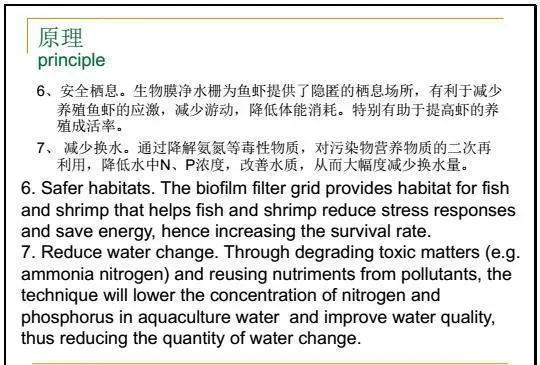 江兴龙教授谈池塘生物膜低碳养殖技术