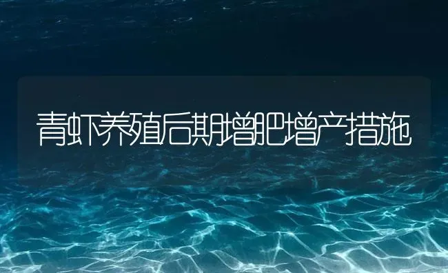 青虾养殖后期增肥增产措施 | 海水养殖