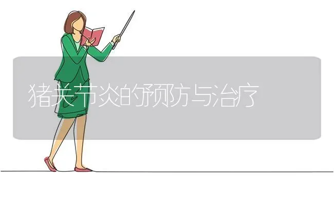 猪关节炎的预防与治疗 | 家畜养殖