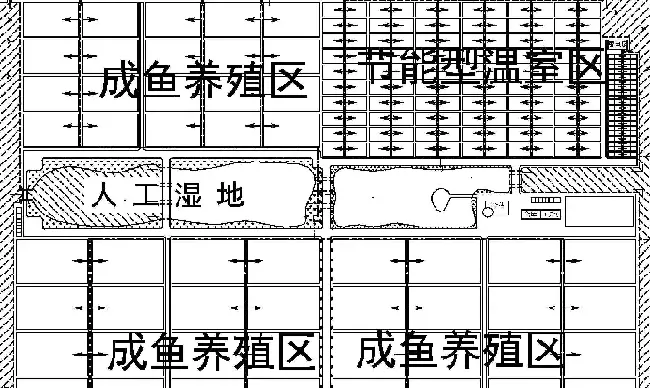 池塘养殖场怎样布局更合理？养殖效益更高？