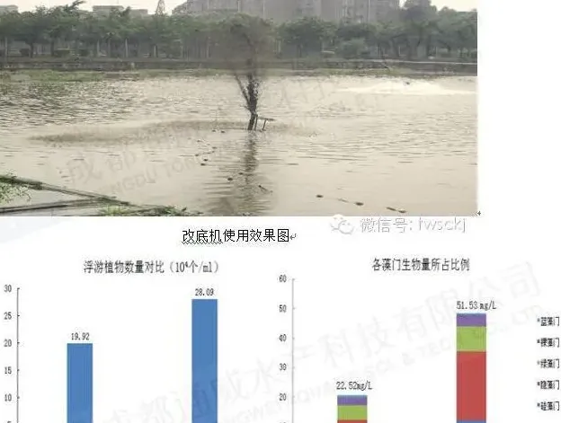 一例鲫鱼养殖池塘水质调控案例