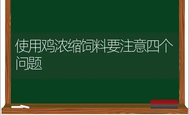 使用鸡浓缩饲料要注意四个问题 | 家禽养殖