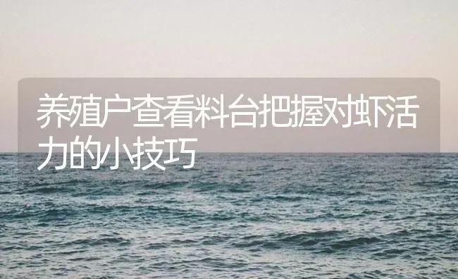 养殖户查看料台把握对虾活力的小技巧 | 海水养殖